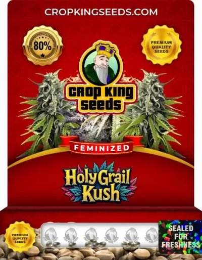 Holy Grail Kush