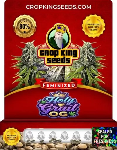 Holy Grail OG
