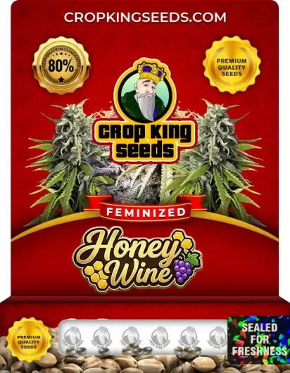 honey-wine-image