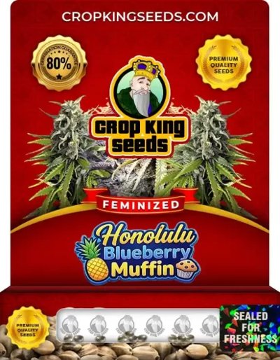 Honolulu Blueberry Muffin