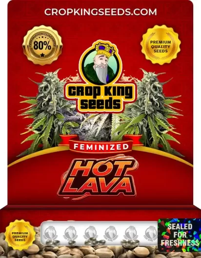 hot-lava-image