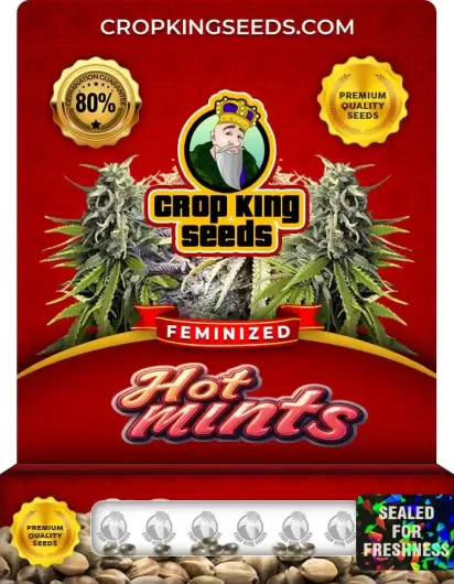 hot-mints-image