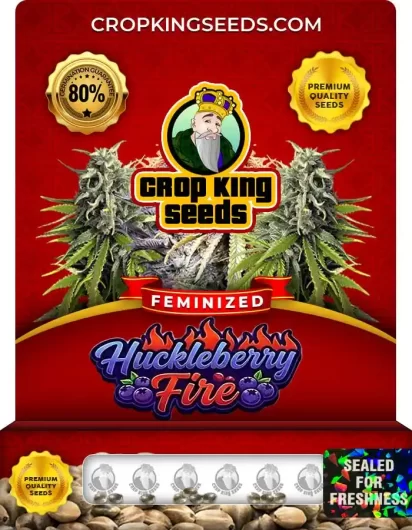 huckleberry-fire-image