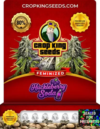 huckleberry-soda-image