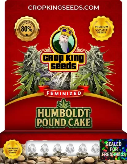 humboldt-pound-cake-image