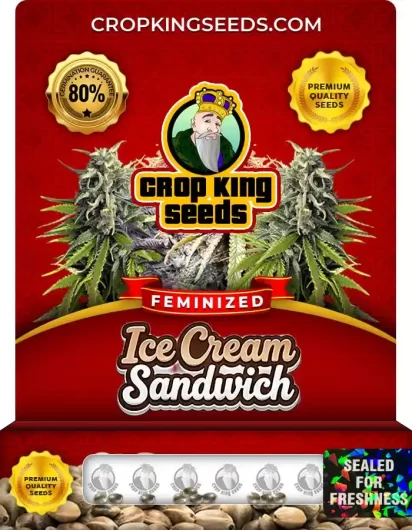 Ice Cream Sandwich