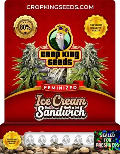 Ice Cream Sandwich