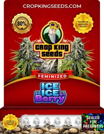 Ice Ice Berry