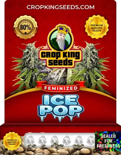 ice-pop-image