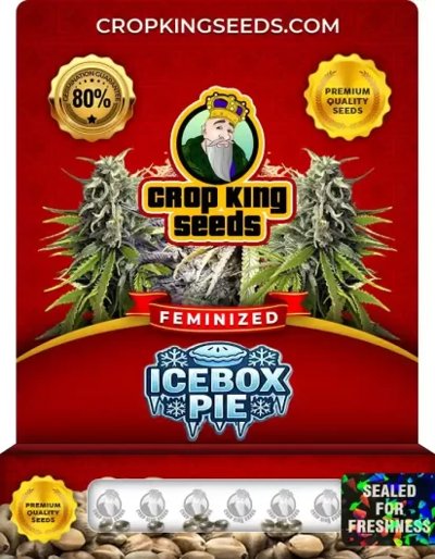 IceBox Pie