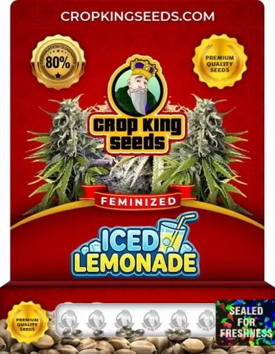 Iced Lemonade
