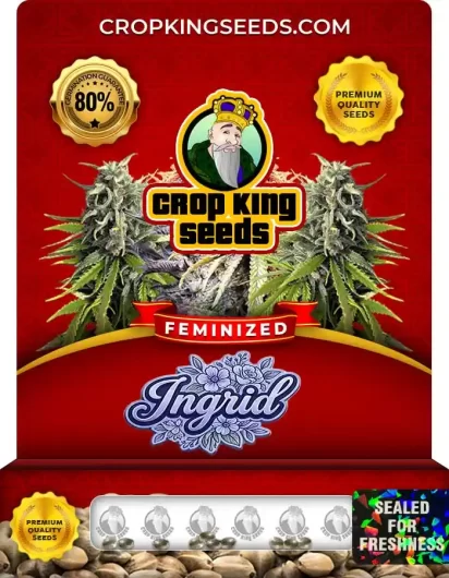 ingrid-image
