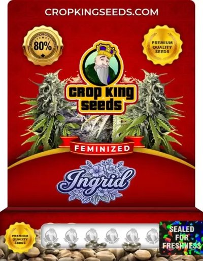 Ingrid