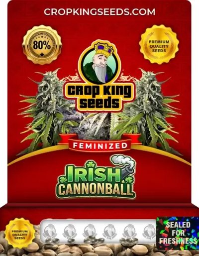 Irish Cannonball