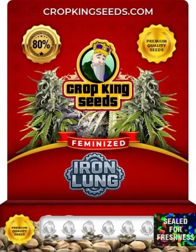 Iron Lung