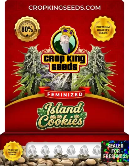 island-cookies-image