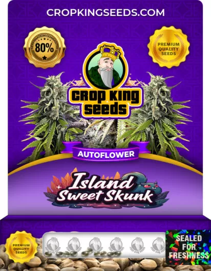 island-sweet-skunk-autoflower-image