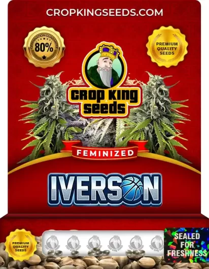 iverson-image