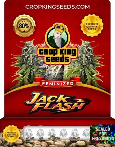 Jack Flash