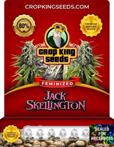 Jack Skellington