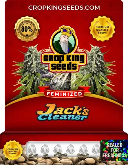 jacks-cleaner-image