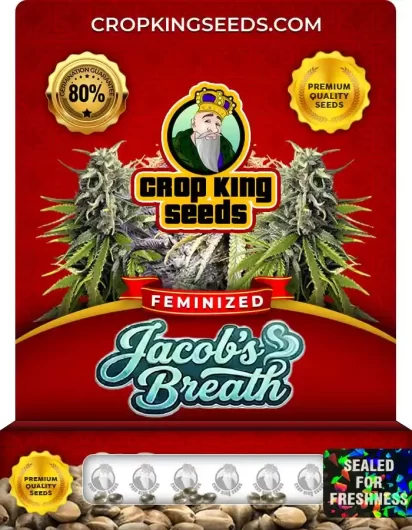 jacob’s-breath-image