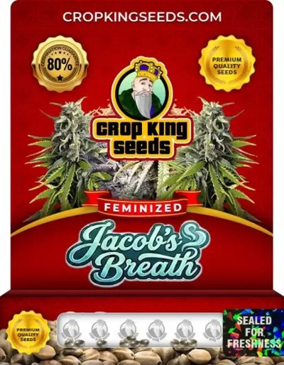 Jacob’s Breath