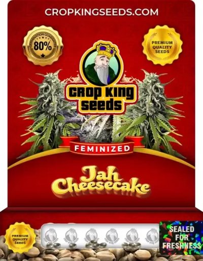 Jah Cheesecake