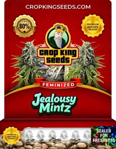 Jealousy Mintz