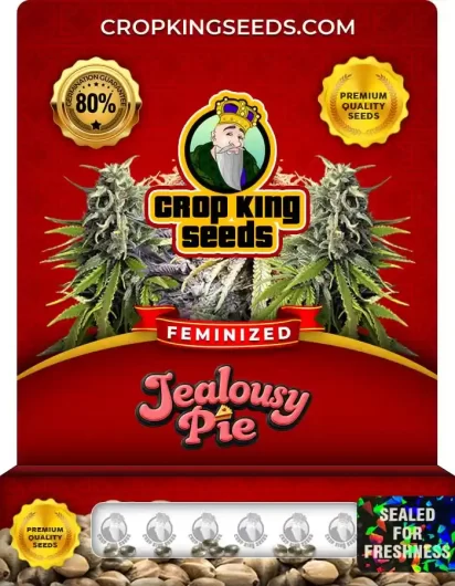 jealousy-pie-feminized-image