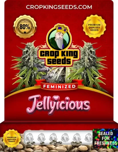 jellylicious-image