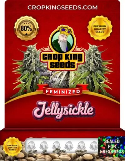 Jellysickle