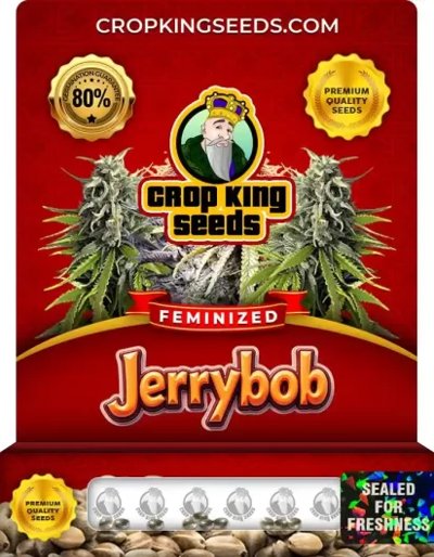 JerryBob