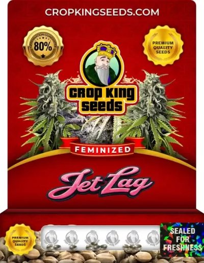 Jet Lag