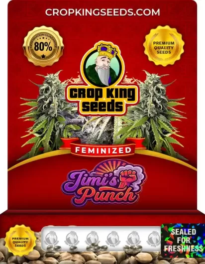 jimi’s-punch-image