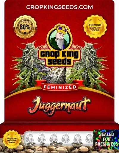 Juggernaut