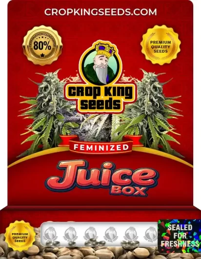 juice-box-image