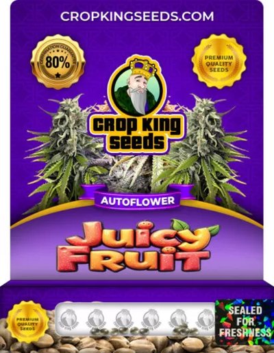 Juicy Fruit Autoflower