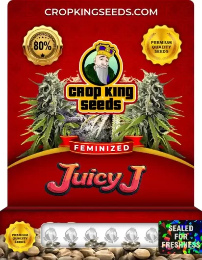 juicy-j-image