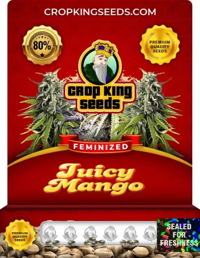 juicy-mango-image