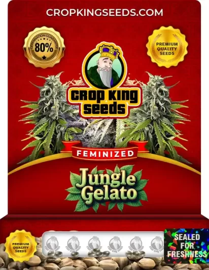 jungle-gelato-image