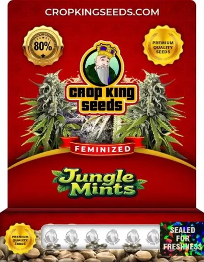 Junior Mints