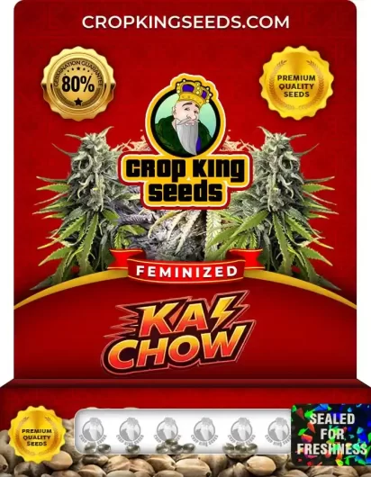 ka-chow-image