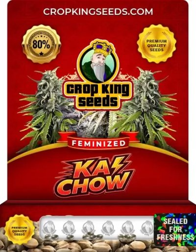 Ka Chow