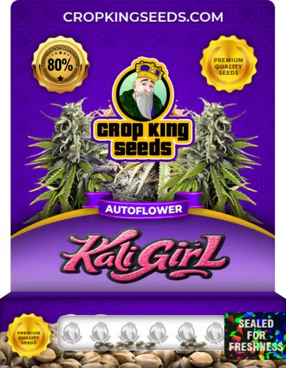 kali-girl-autoflower-image