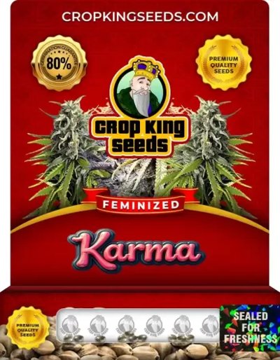 Karma