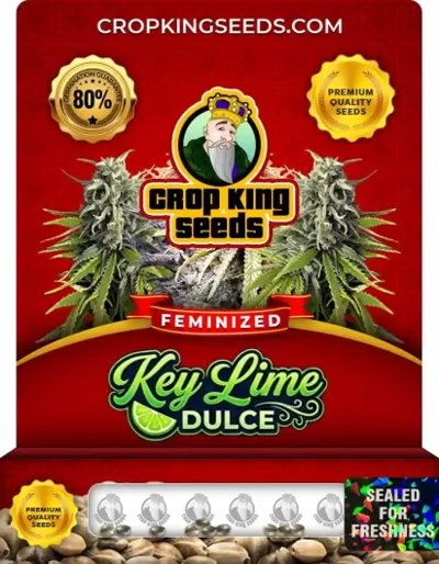 Key Lime Dulce