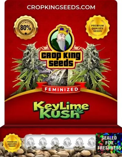 Key Lime Kush