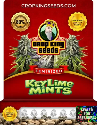 key-lime-mints-image