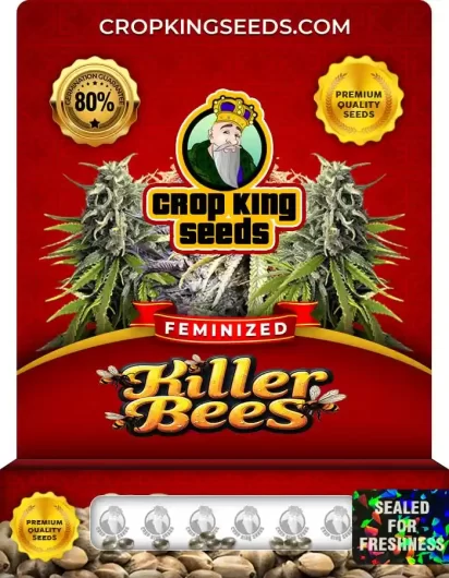 killer-bees-image